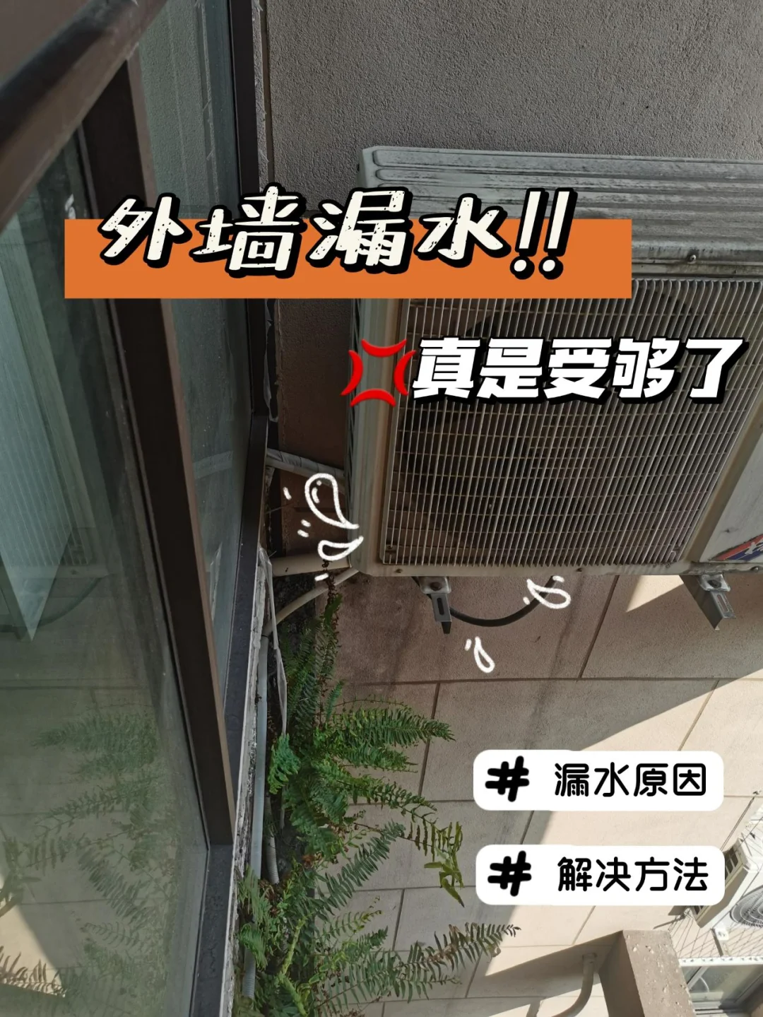 墙面砖破了一点点怎么办(墙面砖破了一点点怎么办小妙招)